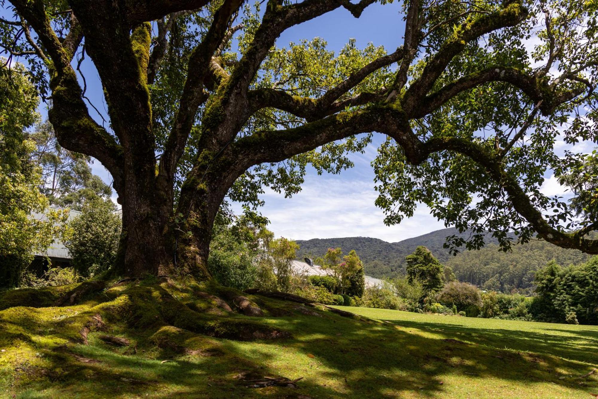 Ferncliff Bungalow Nuwara Eliya Buitenkant foto
