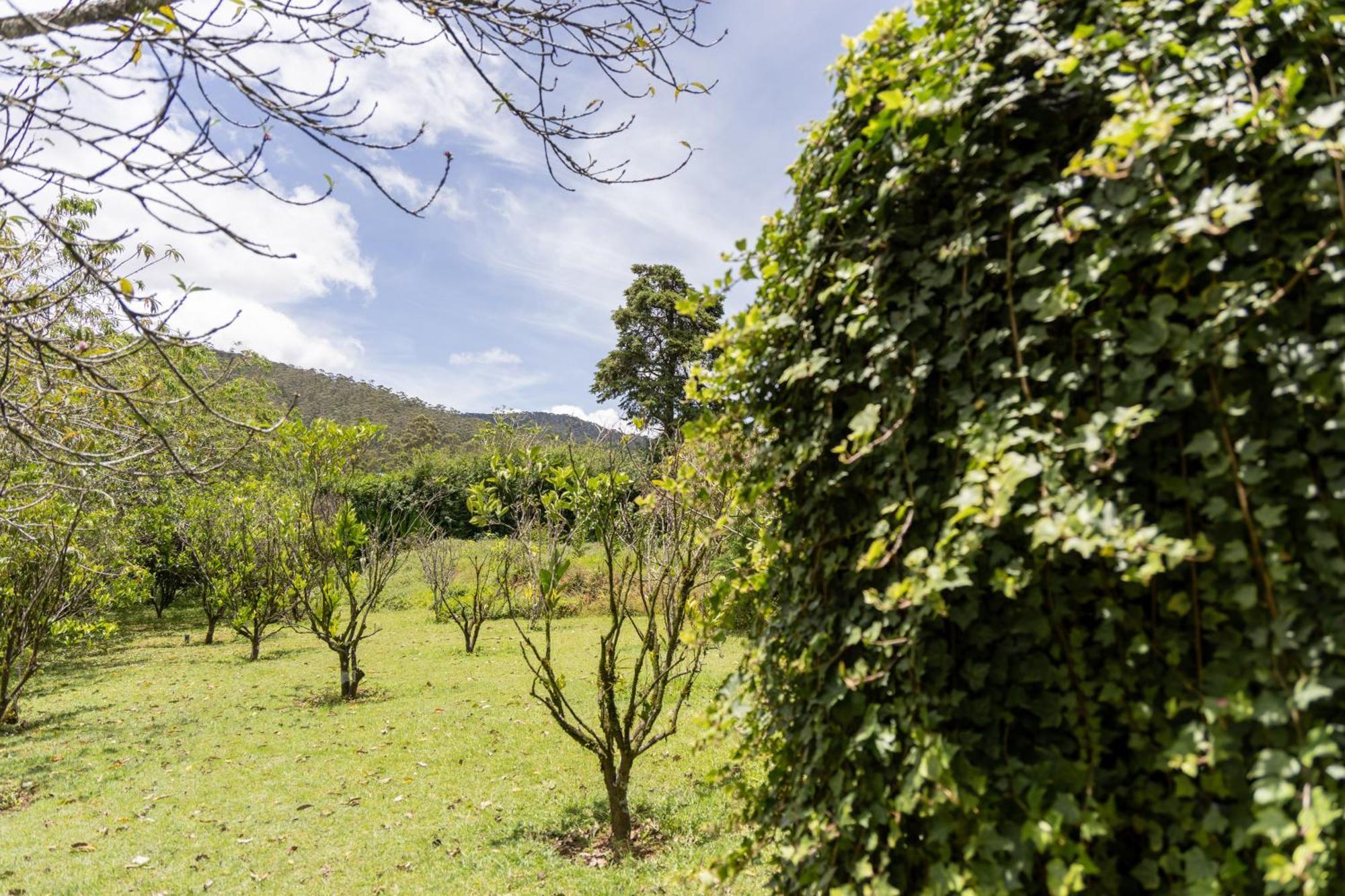 Ferncliff Bungalow Nuwara Eliya Buitenkant foto